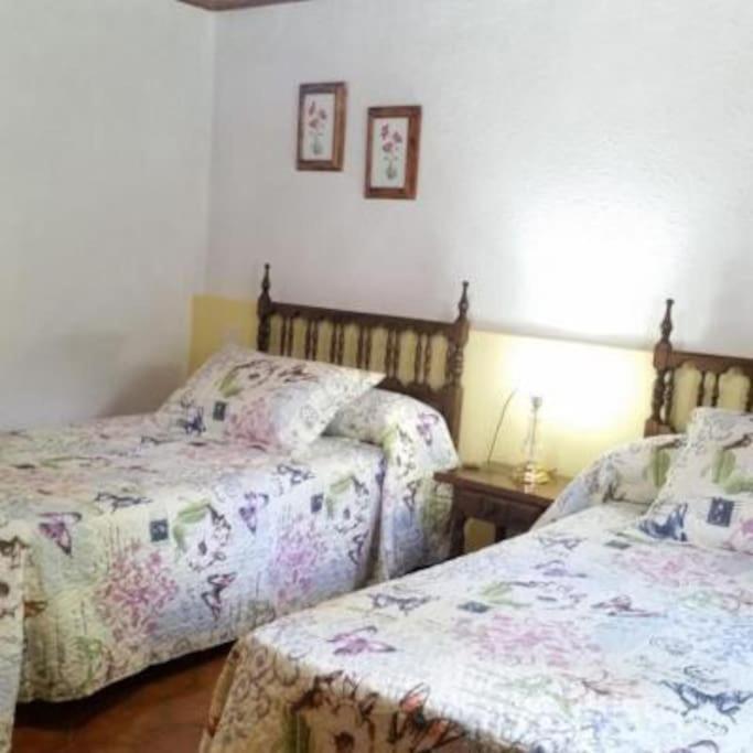 Casa Rural Barangua En El Pirineo Aragones Santa Cruz de la Serós エクステリア 写真