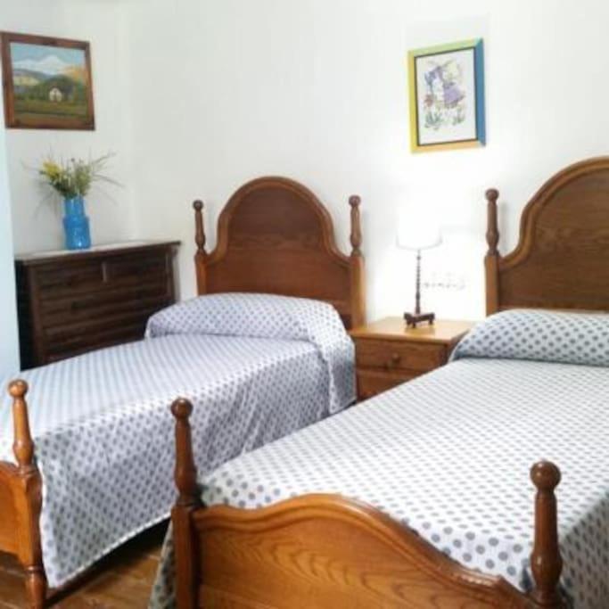 Casa Rural Barangua En El Pirineo Aragones Santa Cruz de la Serós エクステリア 写真
