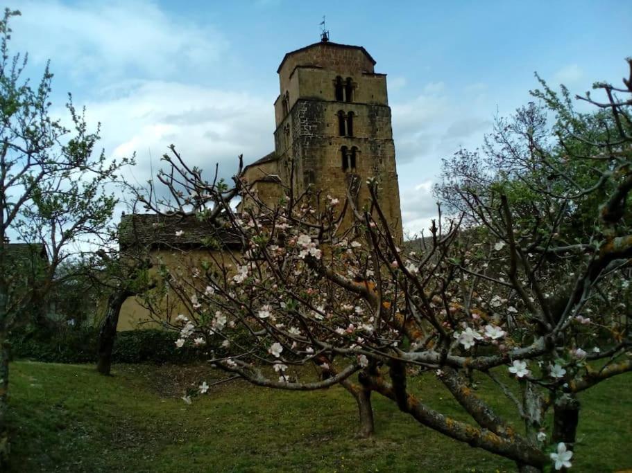 Casa Rural Barangua En El Pirineo Aragones Santa Cruz de la Serós エクステリア 写真