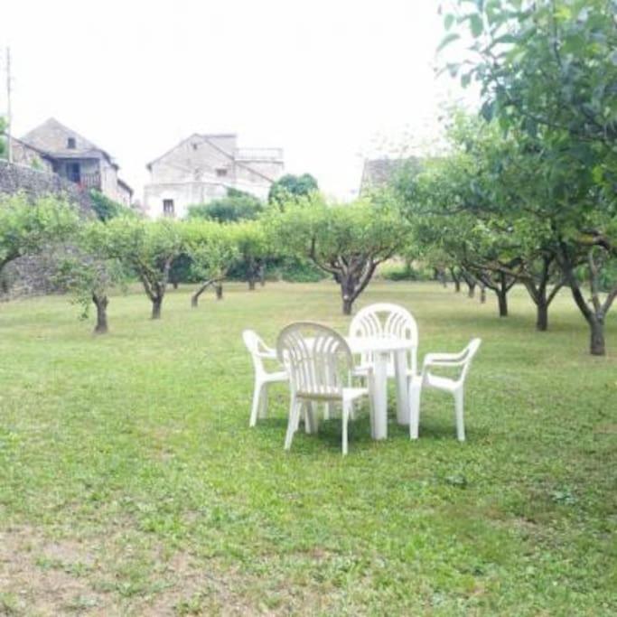 Casa Rural Barangua En El Pirineo Aragones Santa Cruz de la Serós エクステリア 写真